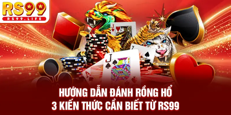 Hướng Dẫn Đánh Rồng Hổ - 3 Kiến Thức Cần Biết Từ RS99
