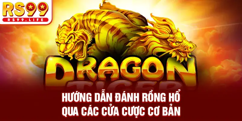 Hướng dẫn đánh Rồng Hổ qua các cửa cược cơ bản